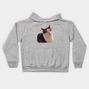 Sarcastic cat rolling eyes meme Kids Hoodie